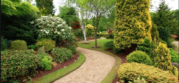 Top-rated residential landscaping for homes in Bakersfield, CA by Gabriel Gardening