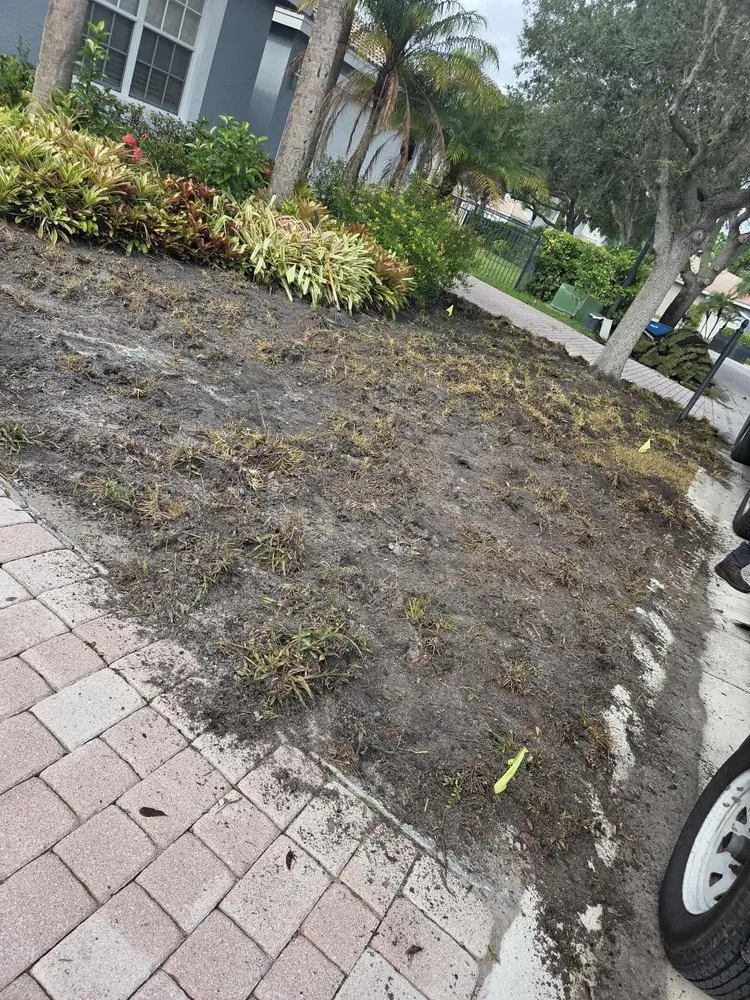 Professional yard cleanup service with custom design in Lake Worth Beach, FL by Gabriel Gog Pavers