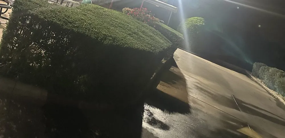 Trusted outdoor landscaping in Bastrop, TX by Gabriel Landscape