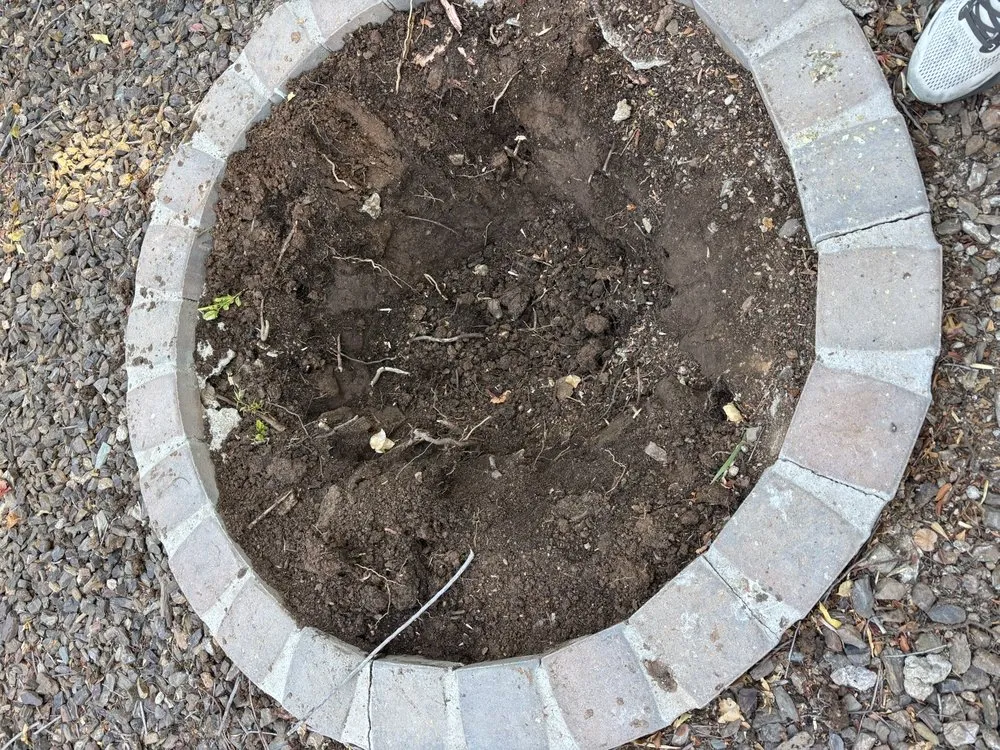 Top-rated yard maintenance for homes across Chandler, AZ - Gabriel Landscaping