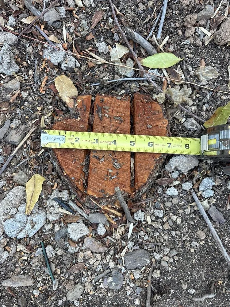 Expert residential landscaping in Chandler, AZ by Gabriel Landscaping