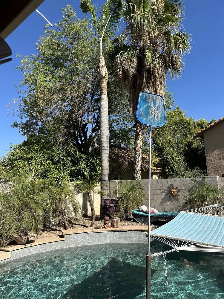 Top-rated yard maintenance for year-round maintenance in Chandler, AZ by Gabriel Landscaping