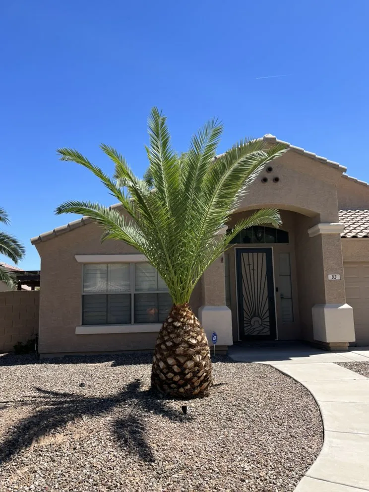 Affordable landscape design in Chandler, AZ - Gabriel Landscaping