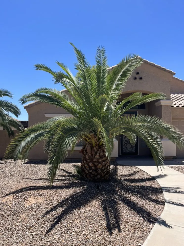 Trusted landscape installation in Chandler, AZ - Gabriel Landscaping