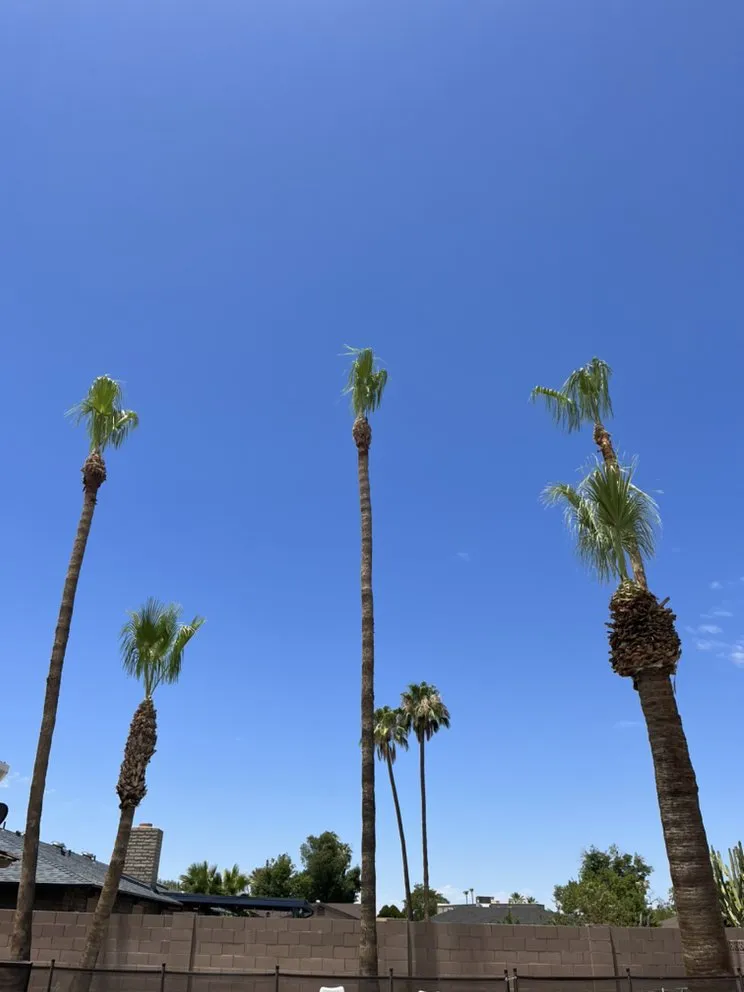 Local landscaping services experts serving Chandler, AZ - Gabriel Landscaping