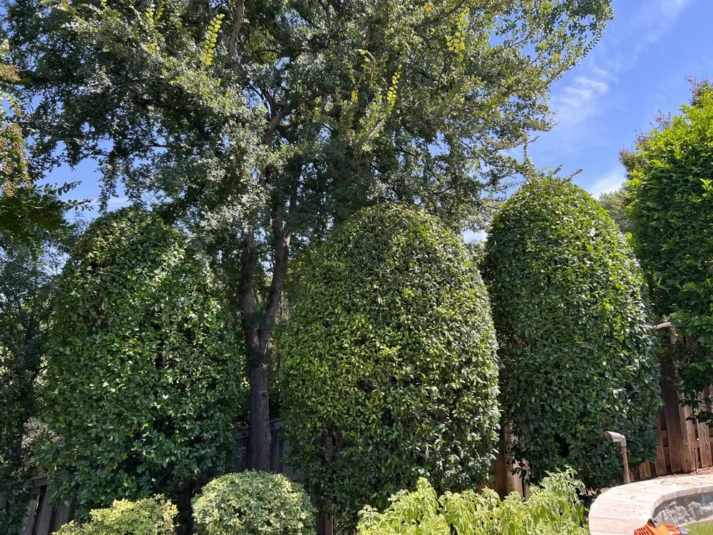 Affordable landscape installation in Crowley, TX by Gabriel Landscaping