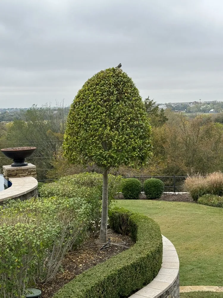 Custom landscaping services in Crowley, TX by Gabriel Landscaping