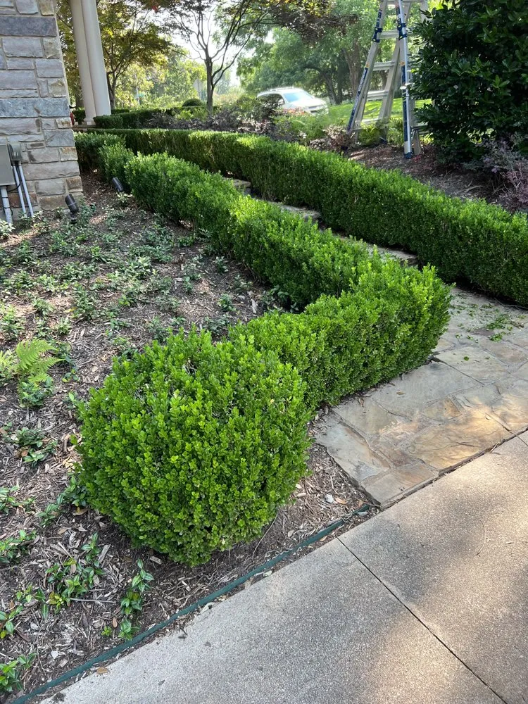 Expert outdoor landscaping with custom design in Crowley, TX by Gabriel Landscaping