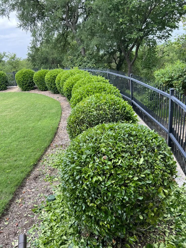 Expert lawn mowing service in Crowley, TX - Gabriel Landscaping