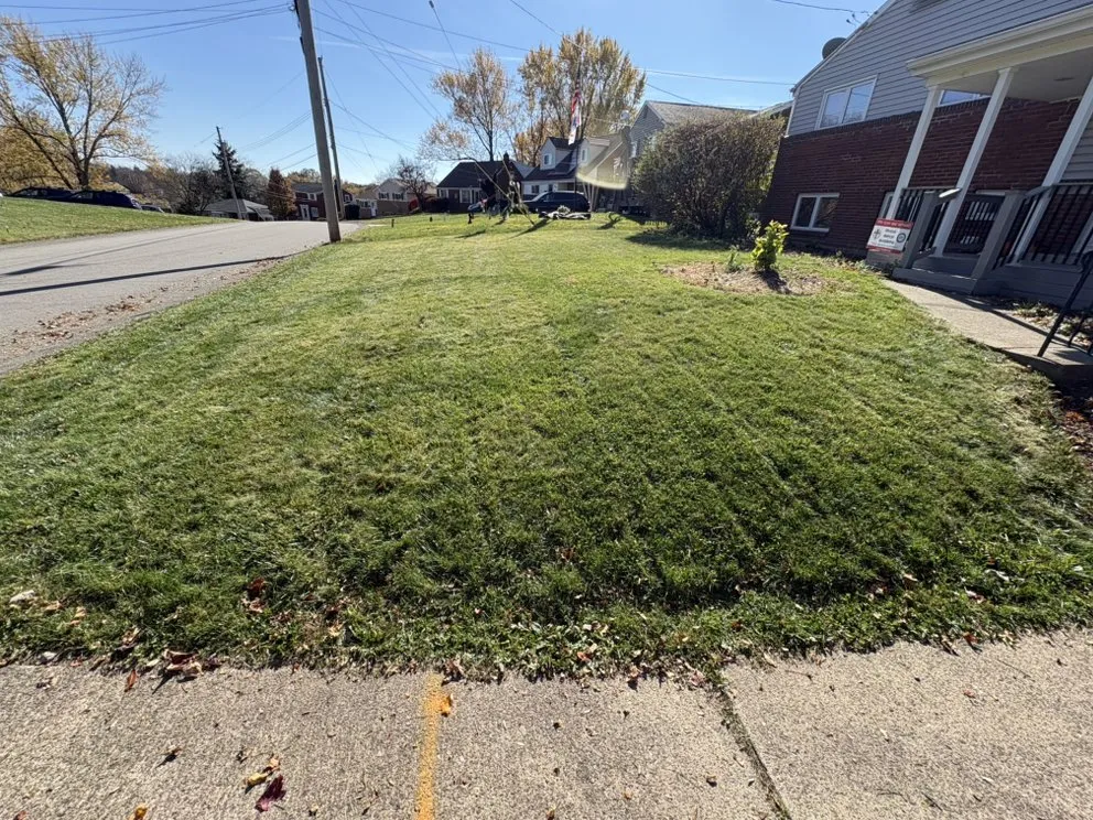 Affordable outdoor landscaping in Monroeville, PA by Gabriel Landscaping