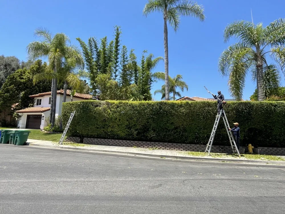 Local landscape installation in Fallbrook, CA - Gabriel Lopez Crew