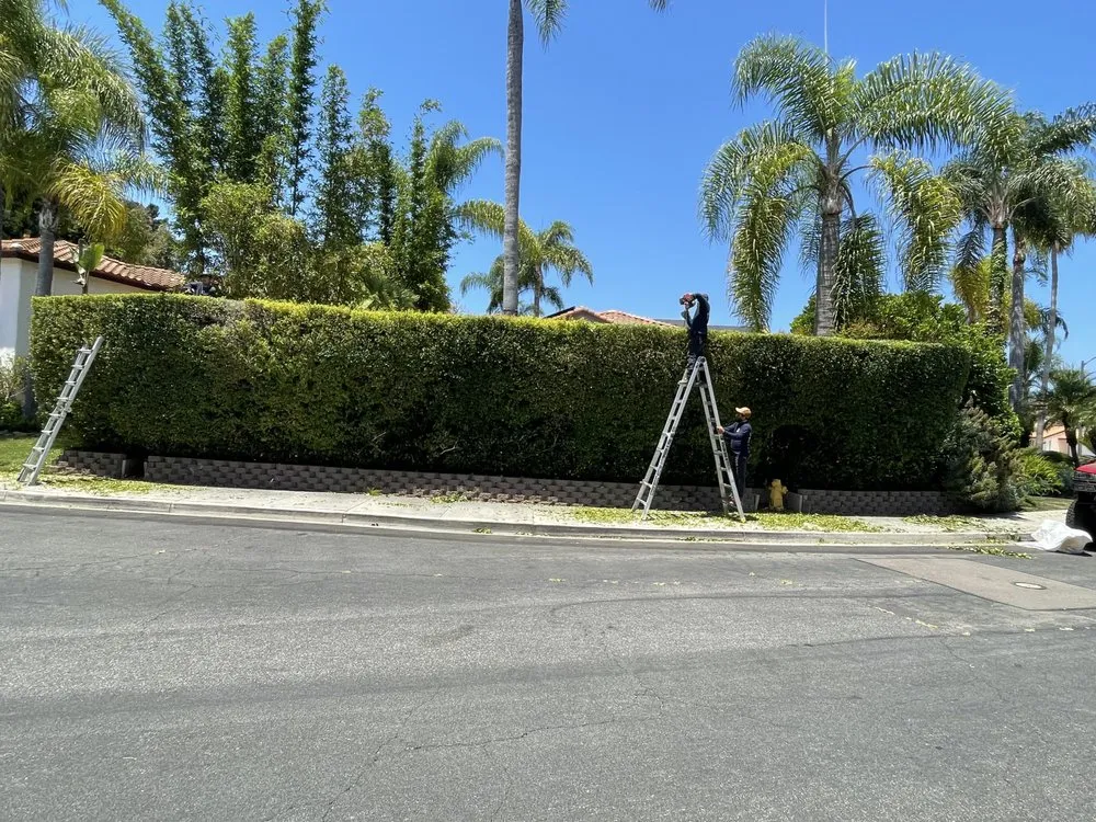 Top-rated lawn care service in Fallbrook, CA by Gabriel Lopez Crew
