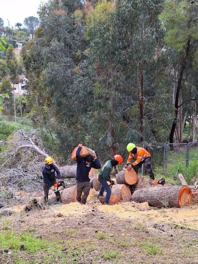 Affordable garden landscaping experts serving Fallbrook, CA - Gabriel Lopez Crew