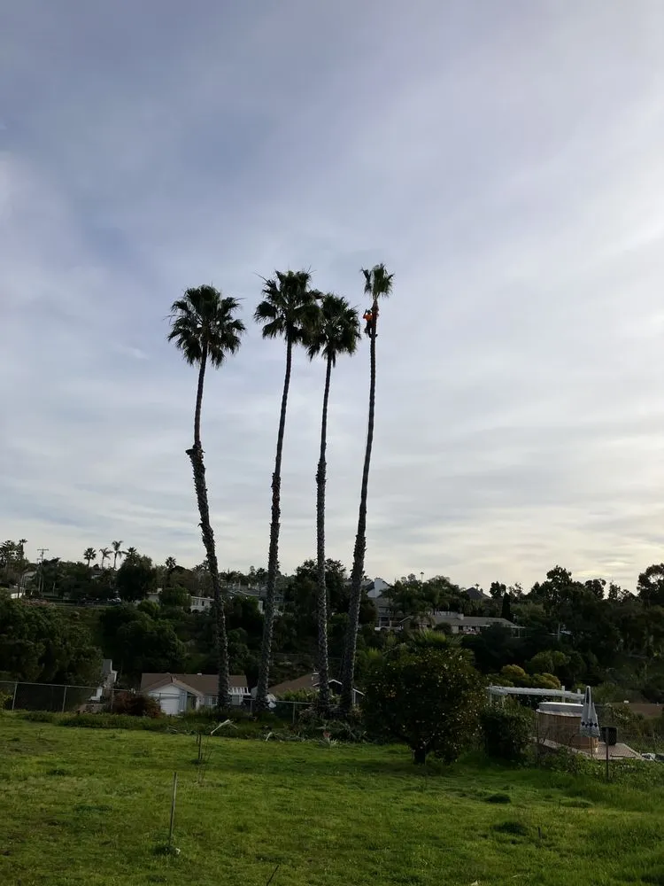 Affordable yard maintenance in Fallbrook, CA - Gabriel Lopez Crew