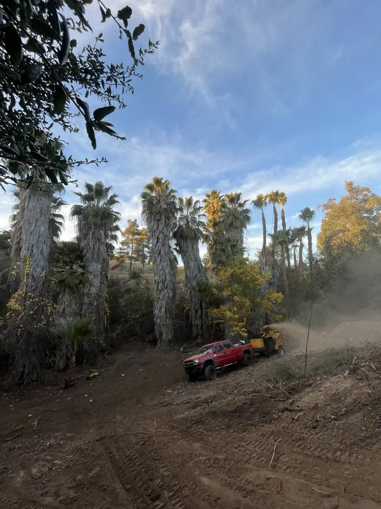 Expert landscape design for year-round maintenance in Fallbrook, CA by Gabriel Lopez Crew