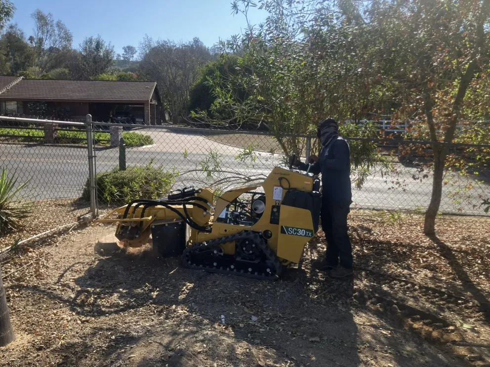 Local yard maintenance for homes in Fallbrook, CA by Gabriel Lopez Crew
