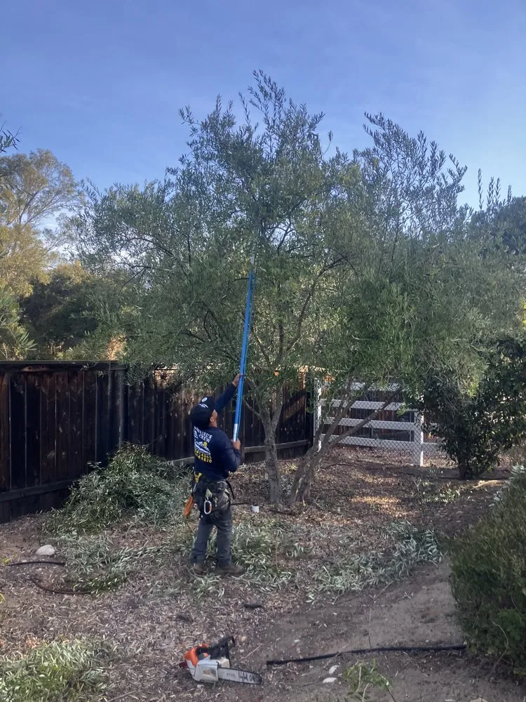 Affordable landscaping services experts serving Fallbrook, CA - Gabriel Lopez Crew