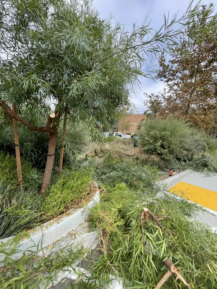 Reliable landscape design in Fallbrook, CA by Gabriel Lopez Crew