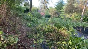 Local garden landscaping experts serving Wonder Lake, IL - Gabriel Mercado Landscaping