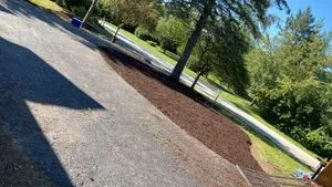 Expert yard cleanup service in Wonder Lake, IL - Gabriel Mercado Landscaping