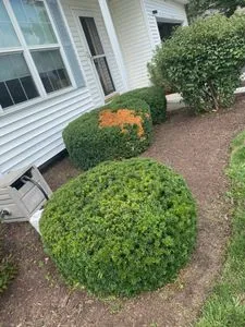 Expert garden landscaping for year-round maintenance in Wonder Lake, IL by Gabriel Mercado Landscaping