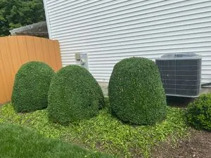Trusted garden landscaping in Wonder Lake, IL by Gabriel Mercado Landscaping