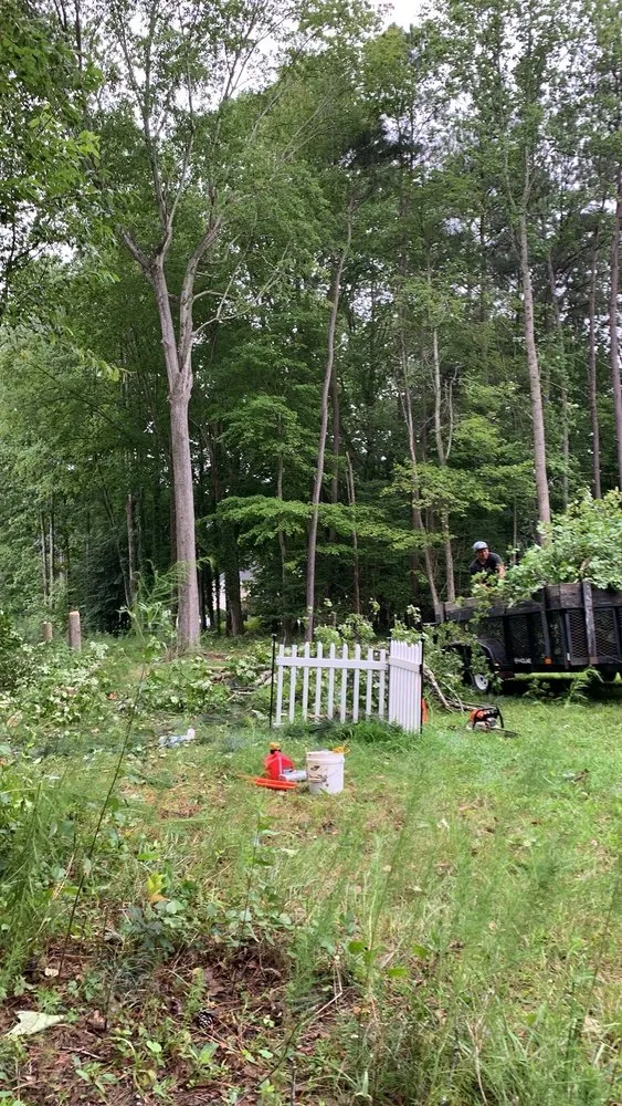 Professional lawn care service experts serving Georgetown, DE - Gabriel Tree Service