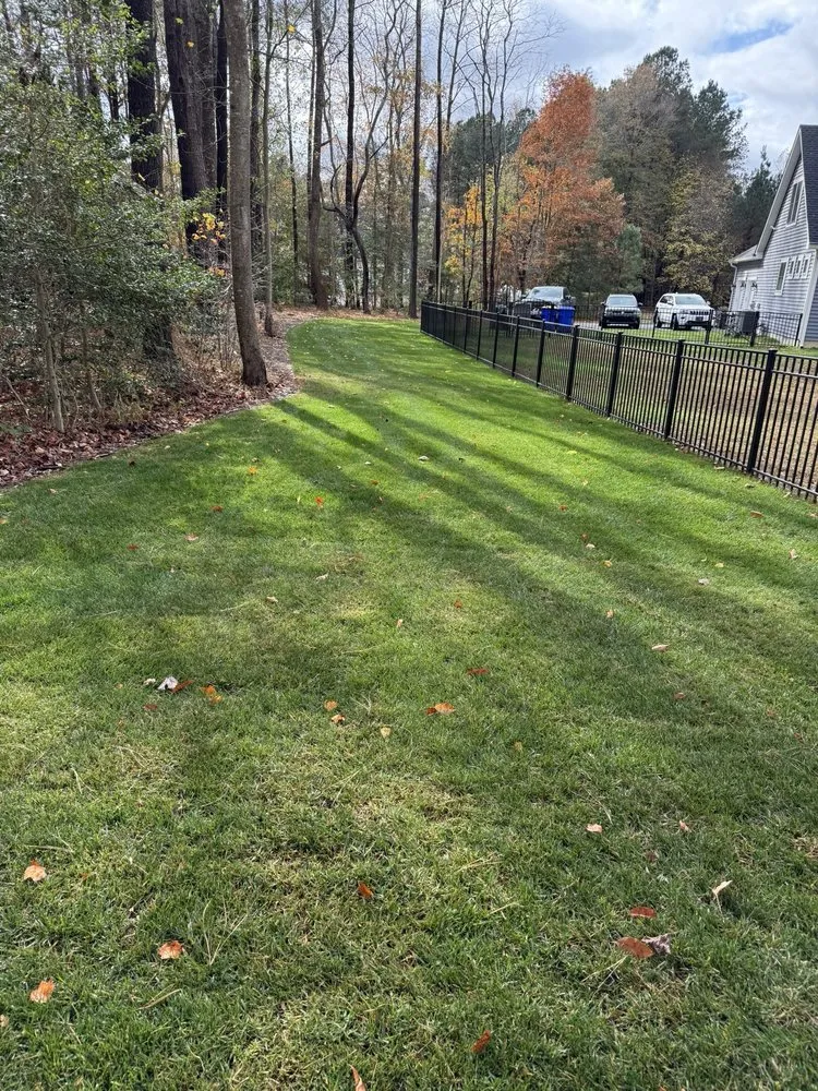 Trusted landscape installation in Georgetown, DE - Gabriel Tree Service