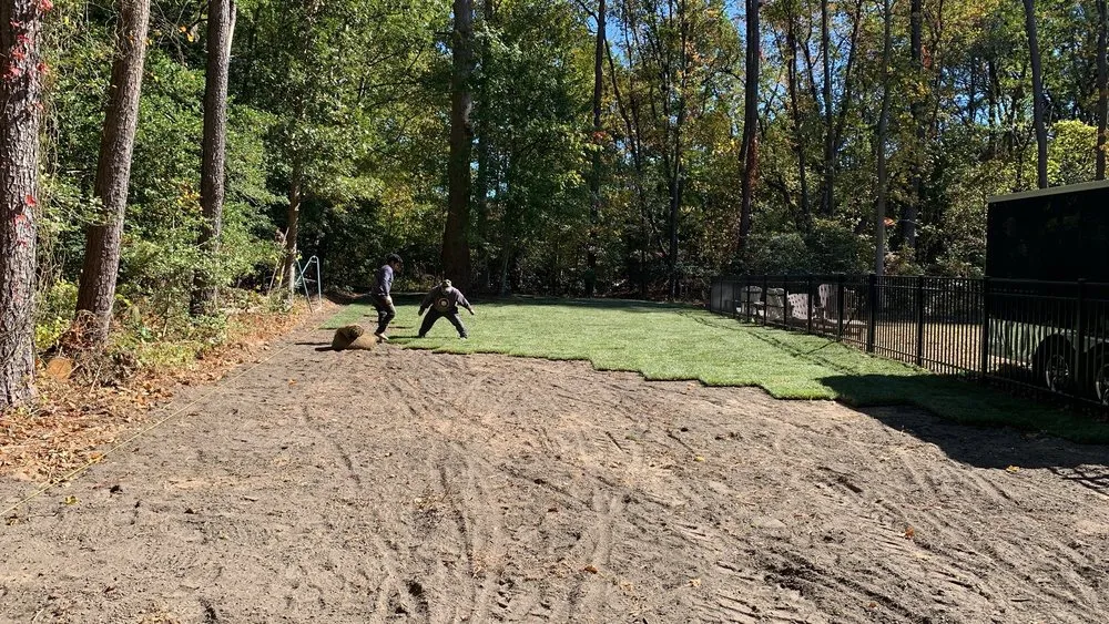 Local garden landscaping for year-round maintenance in Georgetown, DE by Gabriel Tree Service