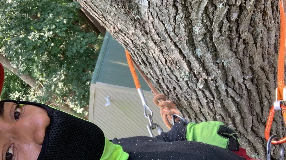 Custom garden landscaping with custom design in Georgetown, DE by Gabriel Tree Service