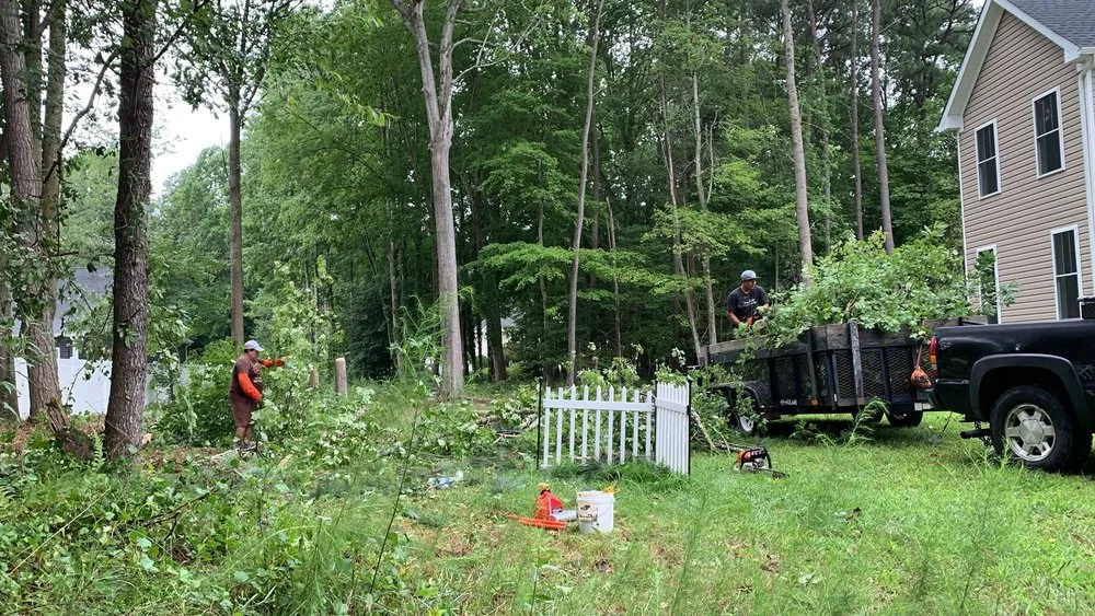 Custom yard cleanup service in Georgetown, DE by Gabriel Tree Service