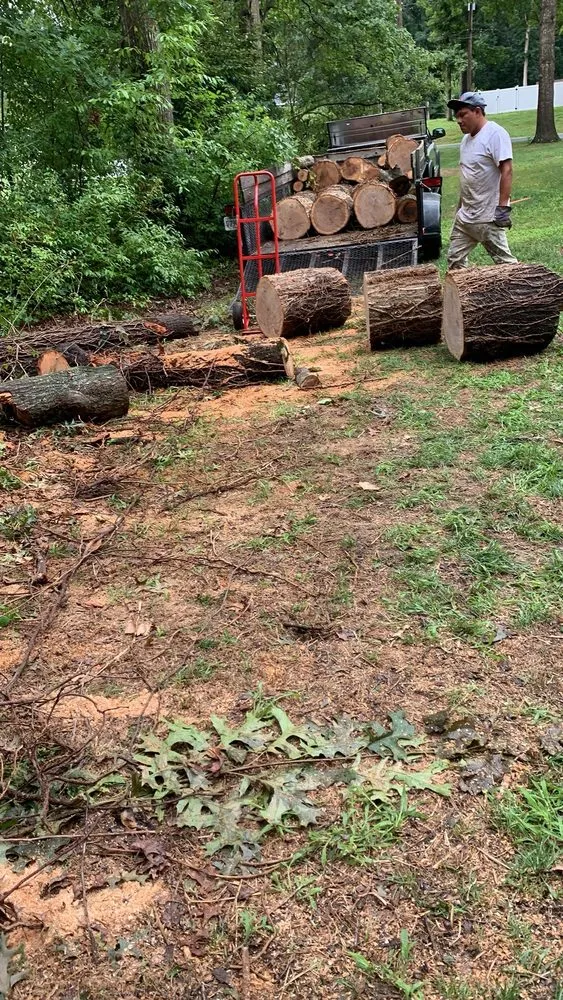 Local landscape installation for year-round maintenance across Georgetown, DE - Gabriel Tree Service