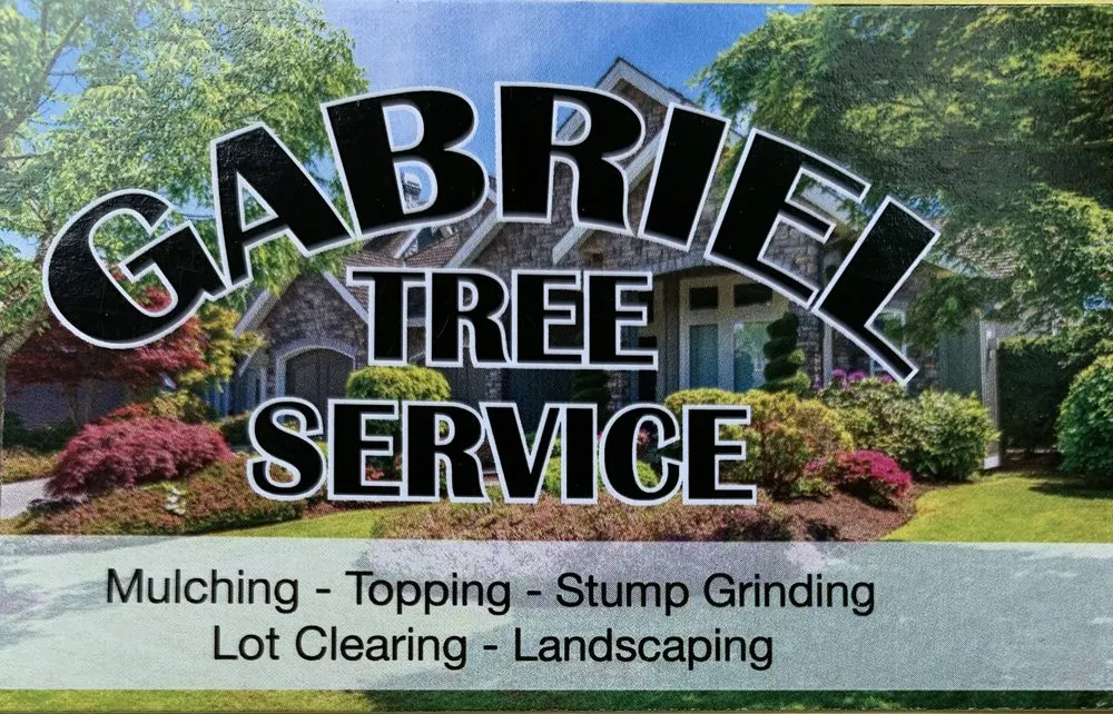 Custom landscape design in Georgetown, DE - Gabriel Tree Service