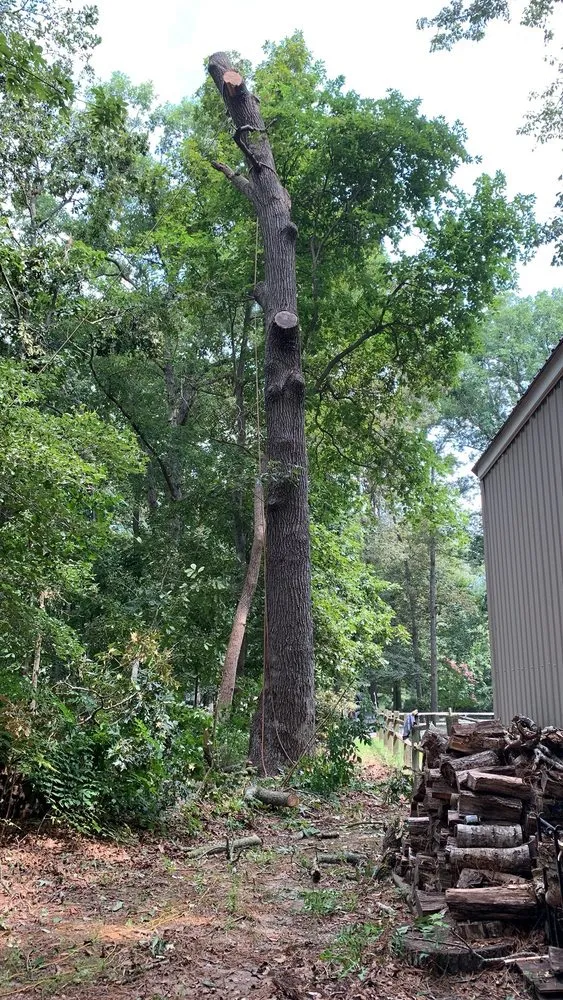 Reliable residential landscaping for residential properties across Georgetown, DE - Gabriel Tree Service