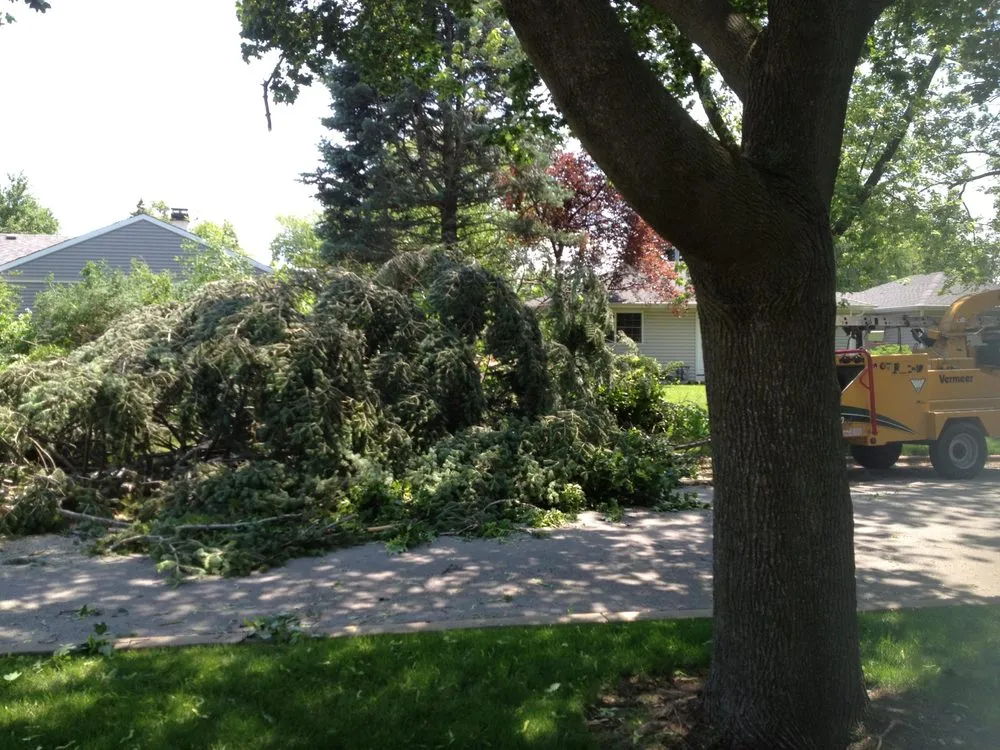 Expert landscape design in Palatine, IL by Gabriel's Landscape & Tree Services