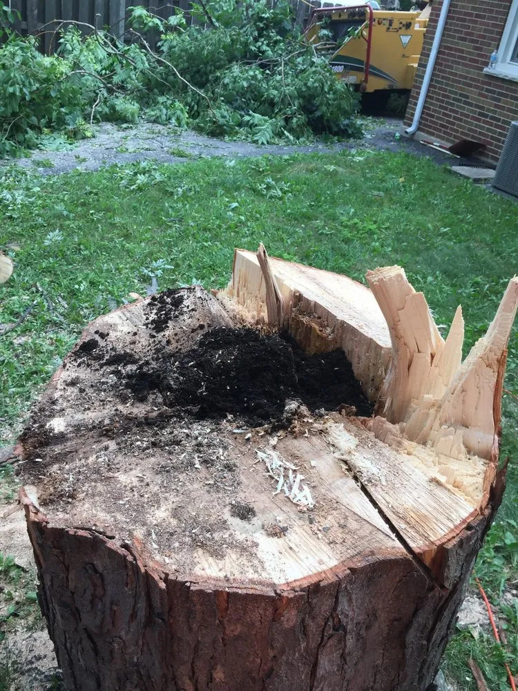 Reliable landscape design for homes across Palatine, IL - Gabriel's Landscape & Tree Services