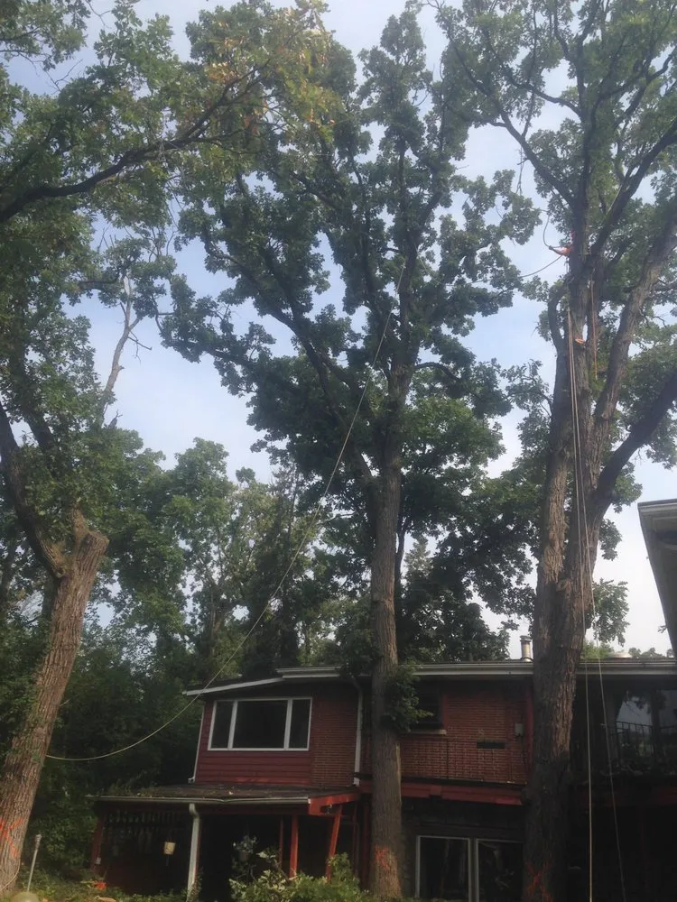 Local residential landscaping experts serving Palatine, IL - Gabriel's Landscape & Tree Services