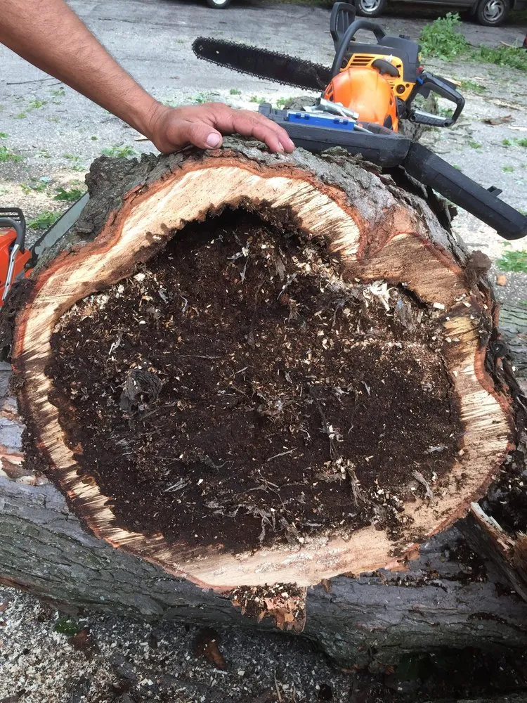 Expert residential landscaping with custom design in Palatine, IL by Gabriel's Landscape & Tree Services