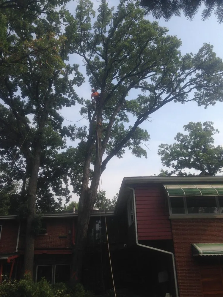 Affordable outdoor landscaping experts serving Palatine, IL - Gabriel's Landscape & Tree Services