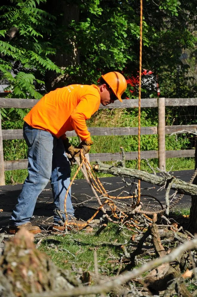 Professional landscape installation for outdoor upgrades in Palatine, IL by Gabriel's Landscape & Tree Services