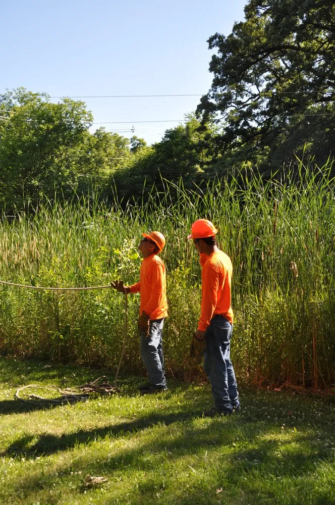 Expert lawn mowing service experts serving Palatine, IL - Gabriel's Landscape & Tree Services