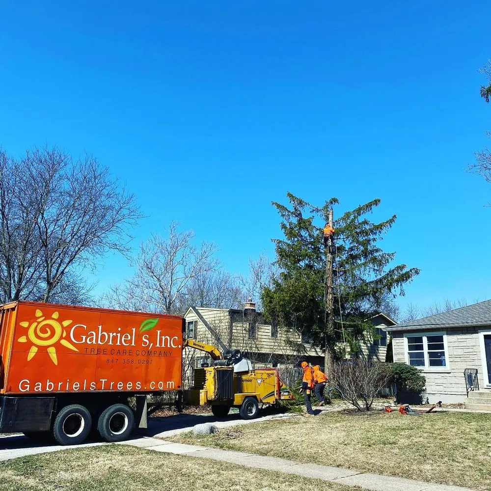 Expert lawn care service experts serving Palatine, IL - Gabriel's Landscape & Tree Services