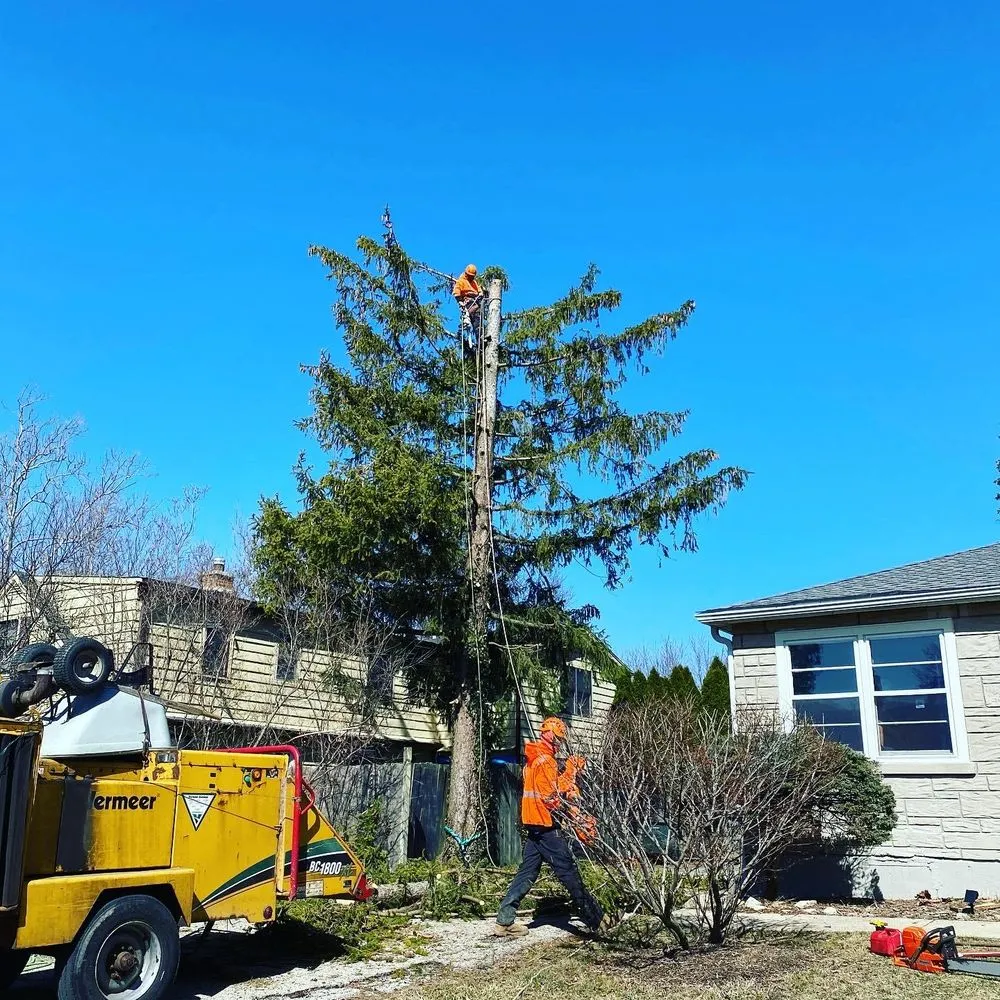 Trusted yard cleanup service with custom design in Palatine, IL by Gabriel's Landscape & Tree Services