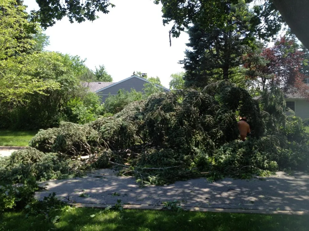 Affordable yard cleanup service with custom design across Palatine, IL - Gabriel's Landscape & Tree Services
