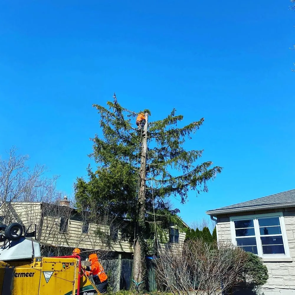 Reliable landscape installation for beautiful yards in Palatine, IL by Gabriel's Landscape & Tree Services