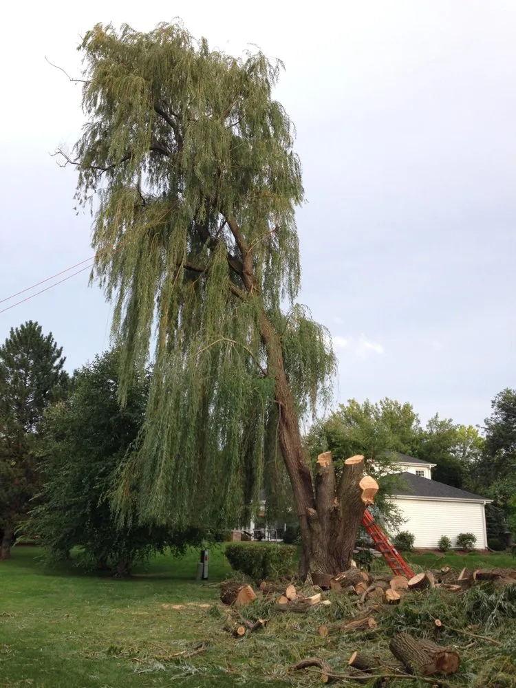 Trusted residential landscaping in Palatine, IL - Gabriel's Landscape & Tree Services