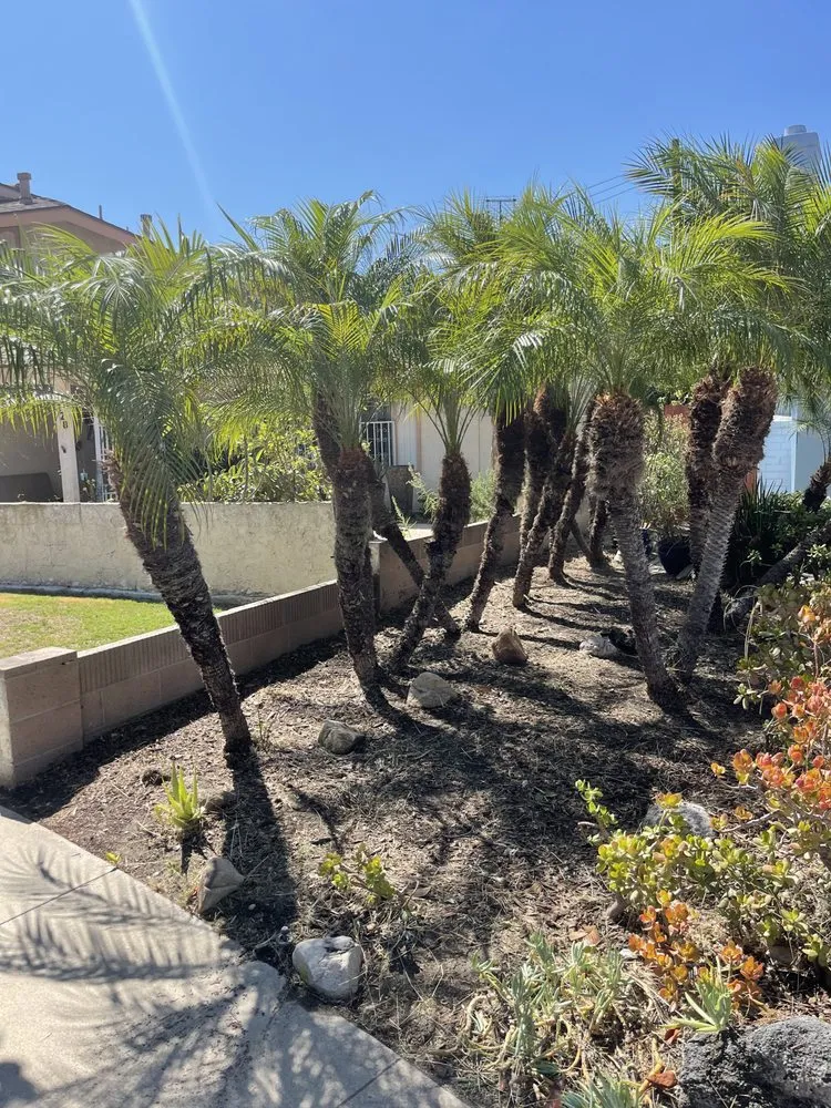 Custom outdoor landscaping experts serving Riverside, CA - Gabriel's Landscaping