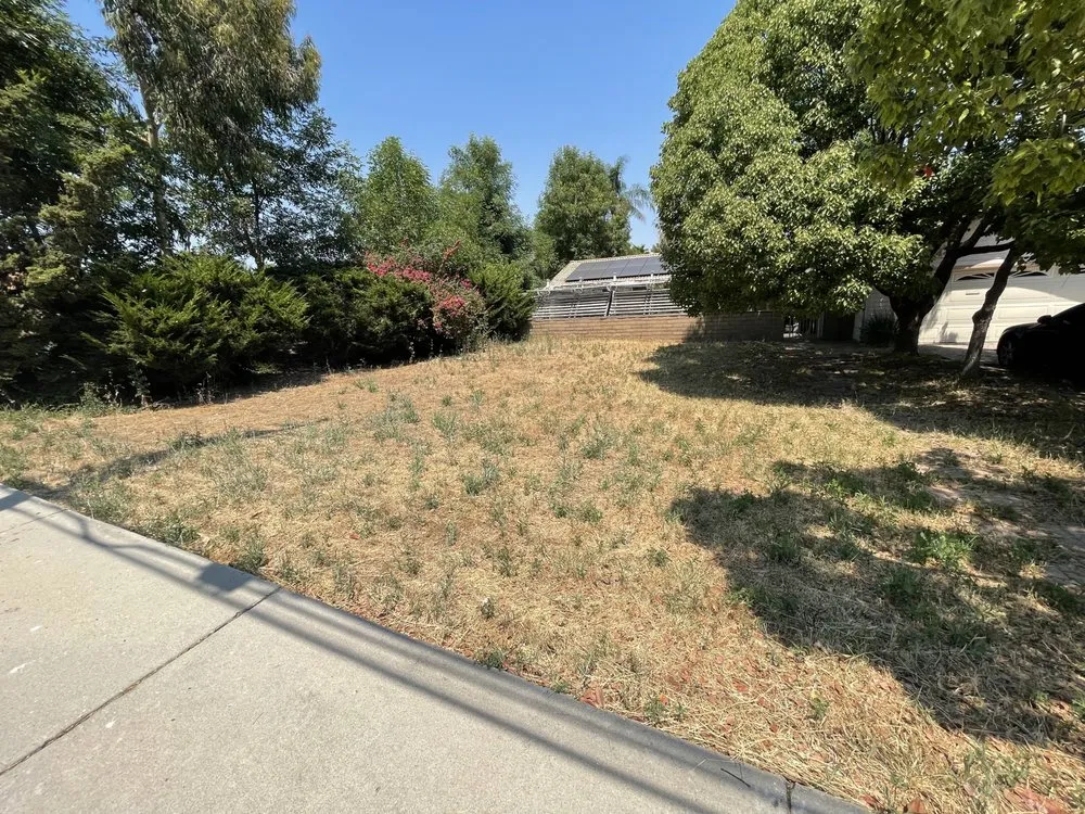 Local yard maintenance in Riverside, CA by Gabriel's Landscaping