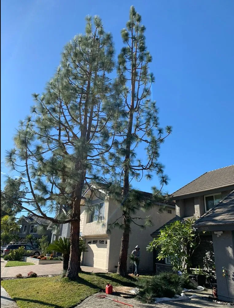 Top-rated landscape design for residential properties in Riverside, CA by Gabriel's Landscaping