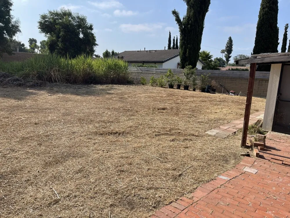 Reliable landscaping services in Riverside, CA - Gabriel's Landscaping